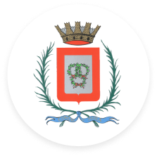 Icona del form